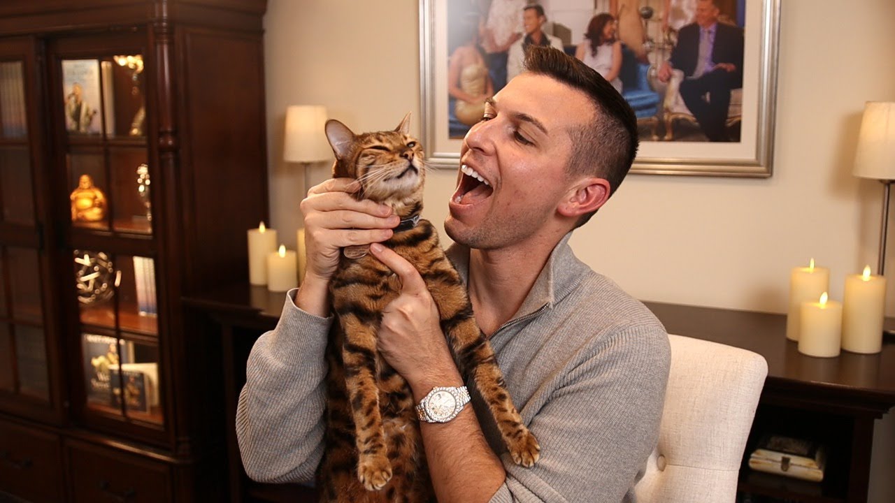 Do Pets Make it to Heaven ?? | Matt Fraser Psychic Medium