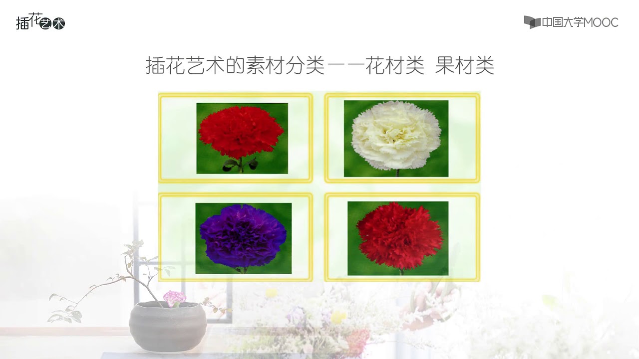 插花花材类果材类