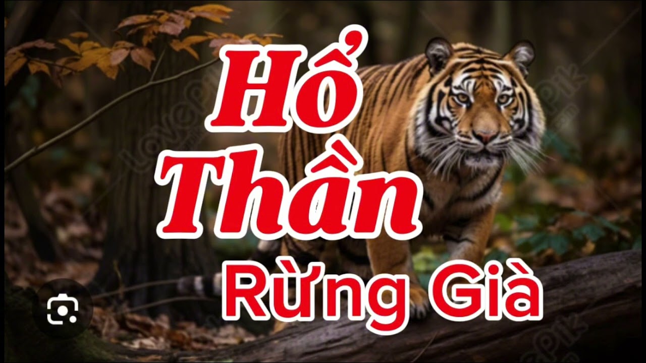 HỔ THẦN RỪNG GIÀ | Lê Anh diễn đọc