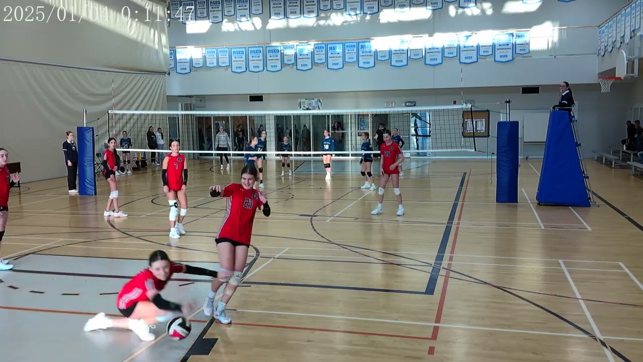 Game contre libelue P3