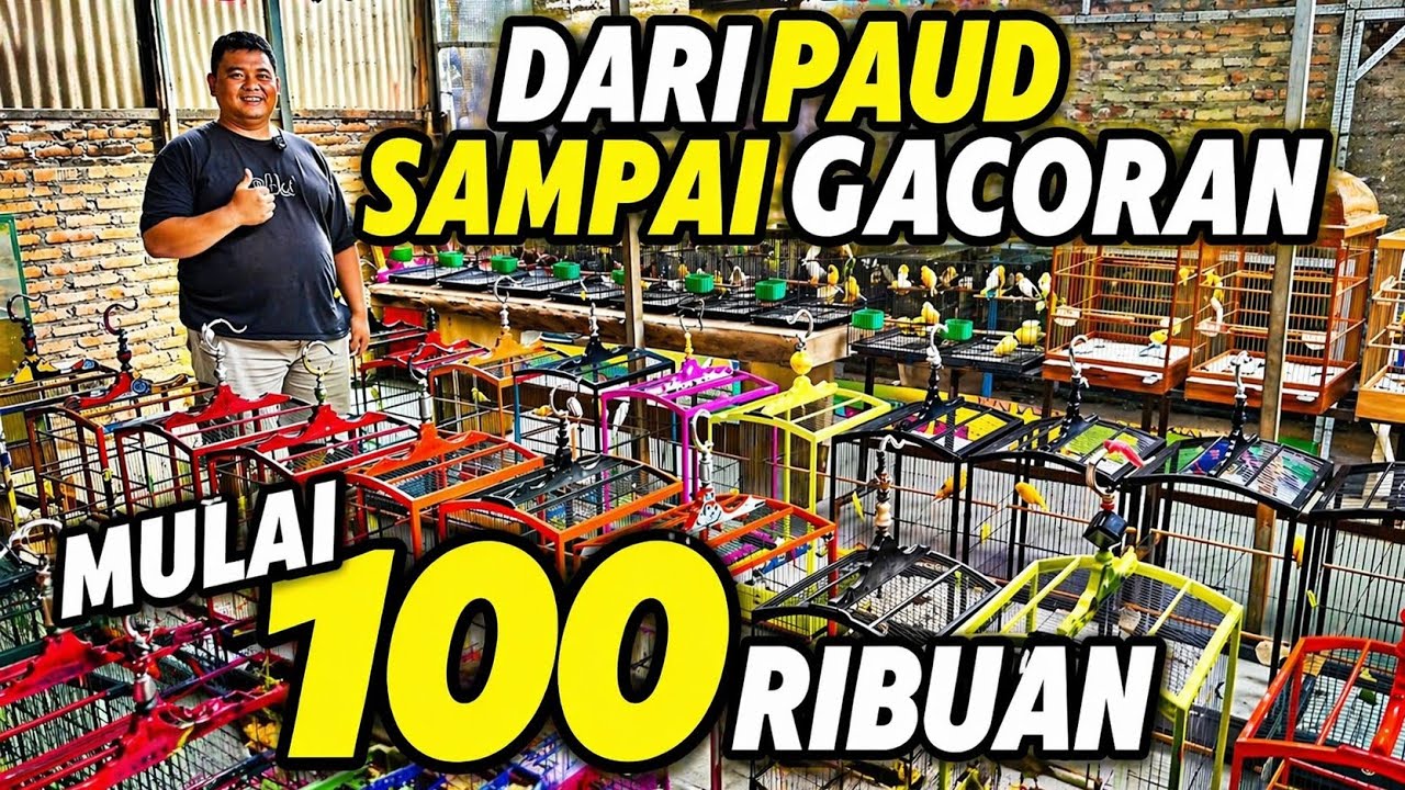 Review KENARI MURAH‼️Banyak pilihan HARGA MULAI 100an...