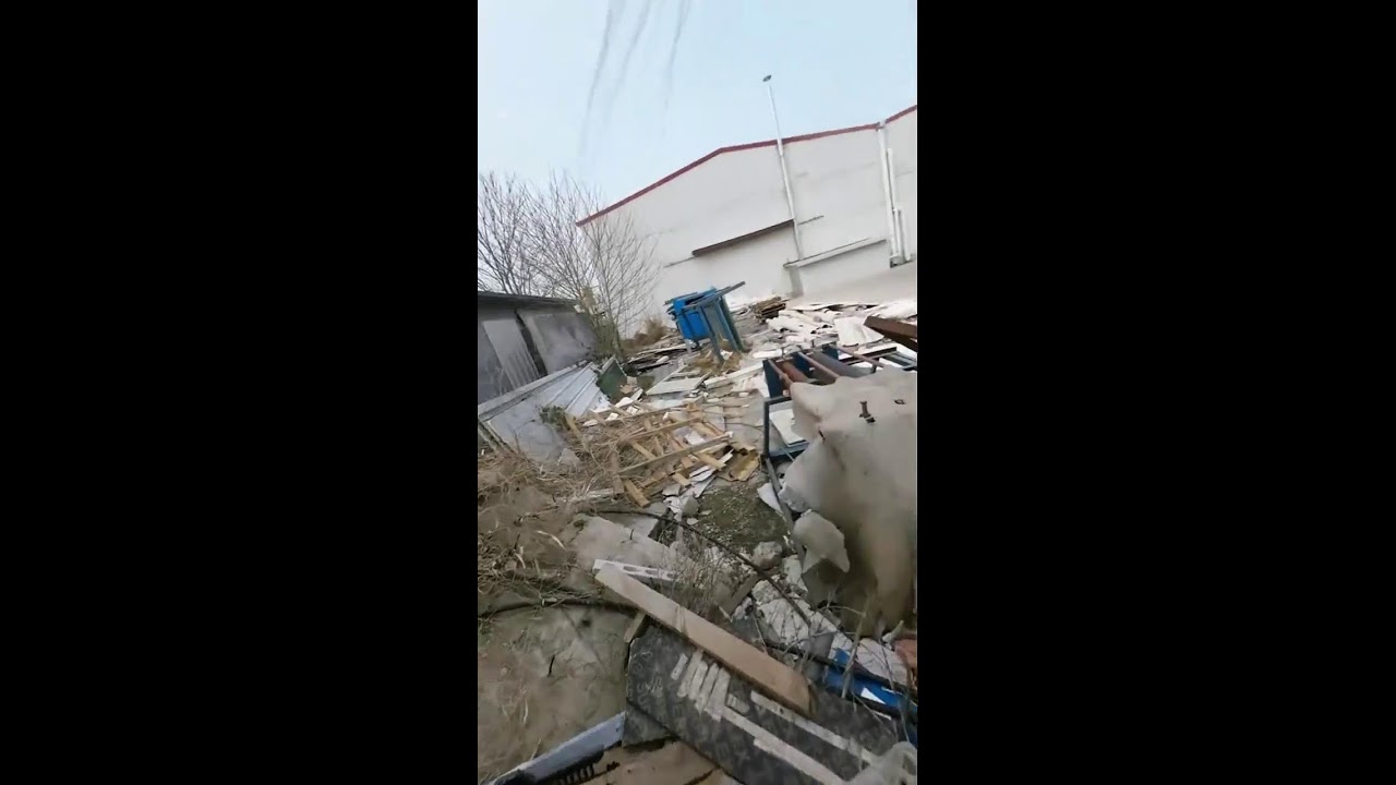 Cat POV Cam Live | Curious Cat Exploring Outdoors | Natural Sounds