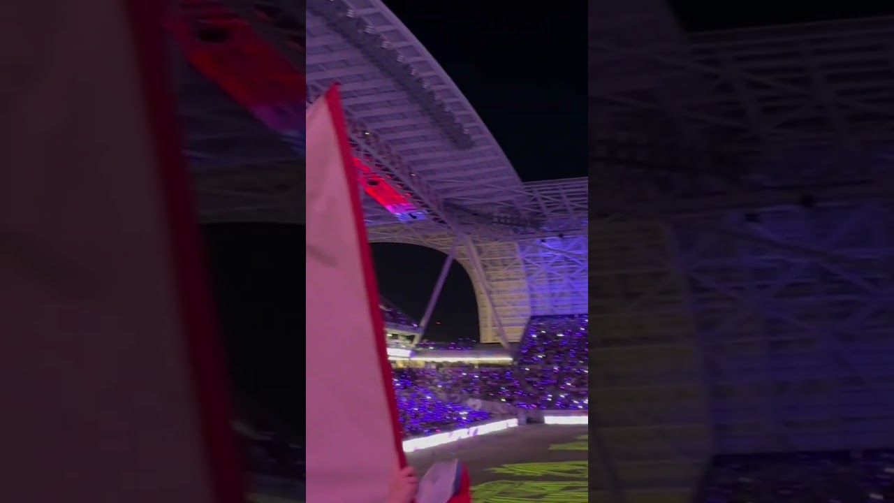 Edion Peace Wing Night Fes #jleague #sanfrecce #kashimaantlers