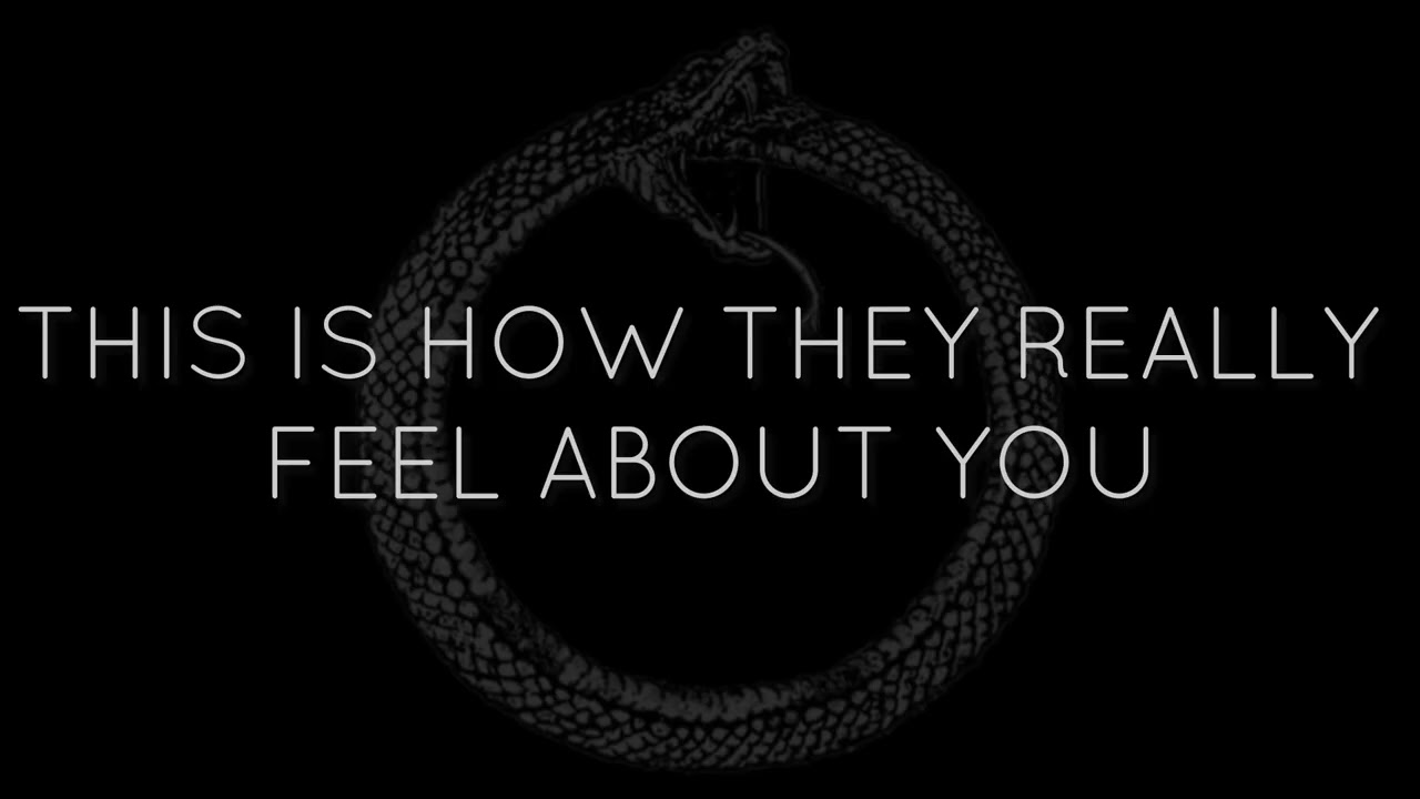 This Is How They Really Feel About You