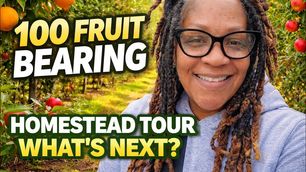 100 fruit bearing | Homestead Tour | Whats next?