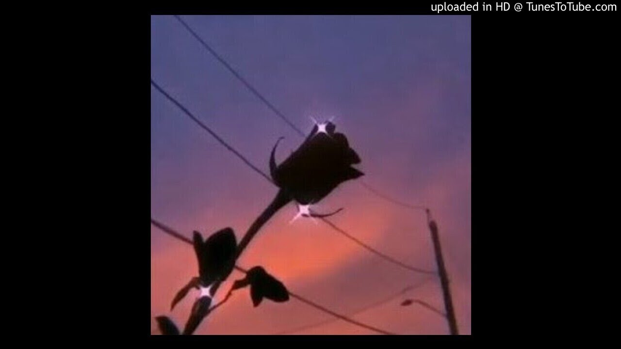 *FREE* TREFUEGO X LETOA X LILBUBBLEGUM TYPE BEAT 