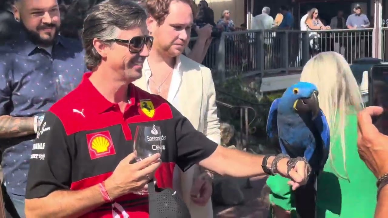The 25th Annual Ferrari Event at The Barnyard