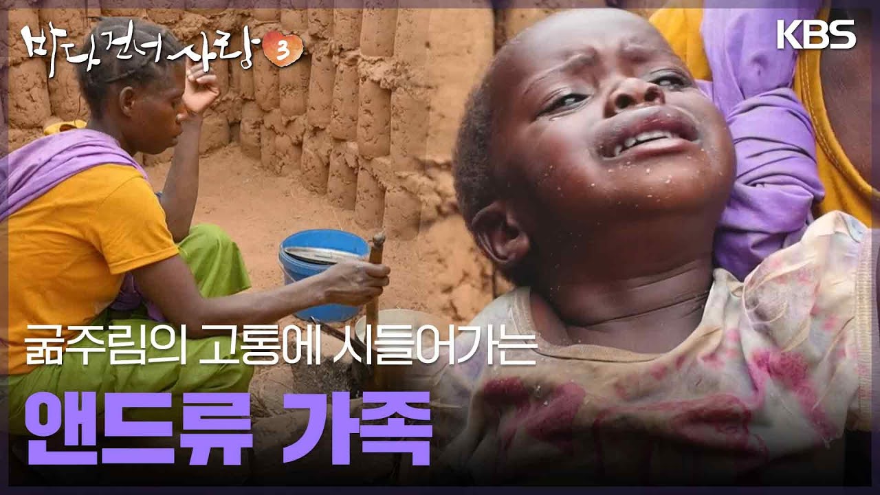 굶주림의 고통에 시들어가는 앤드류 가족 [바다 건너 사랑 3] | KBS 250209 방송