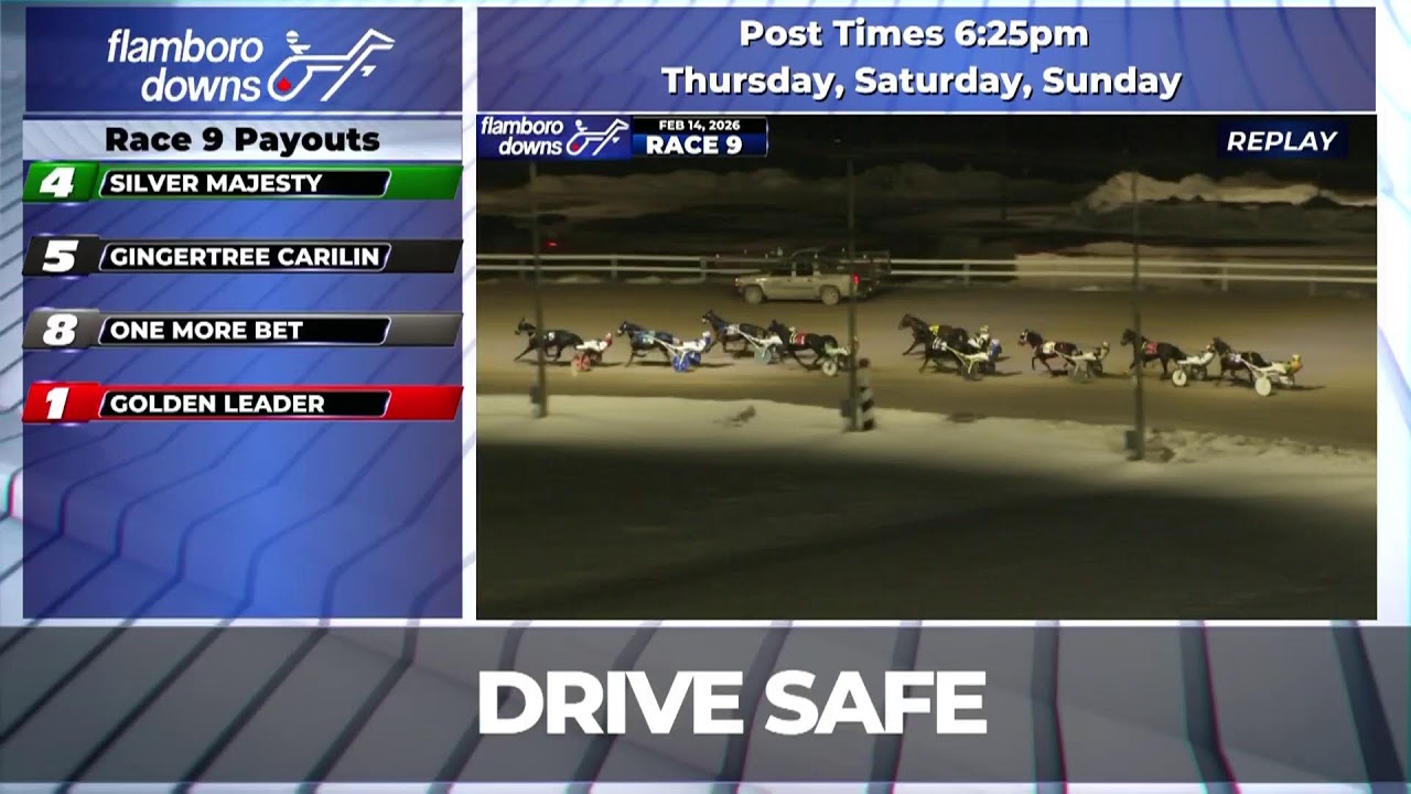 Flamboro Downs Live Stream 02/14/2026