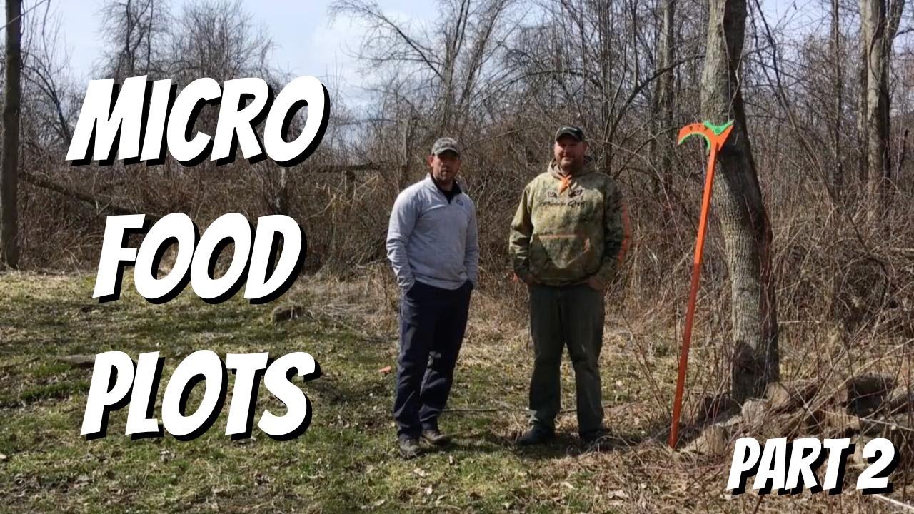 NICK NATION INTERVIEW (Part 2): Creating daytime deer movement on small properties II