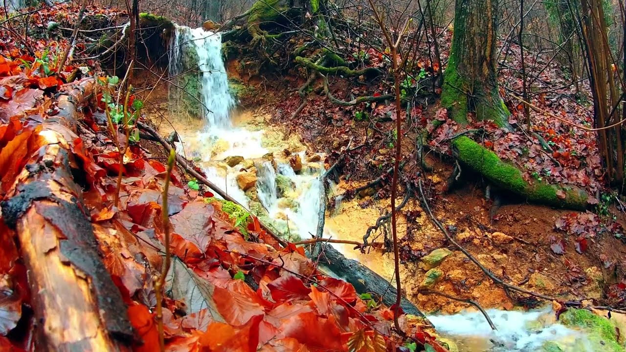 water relaxing music Sounds for Deep Relaxation and Stress Relief
