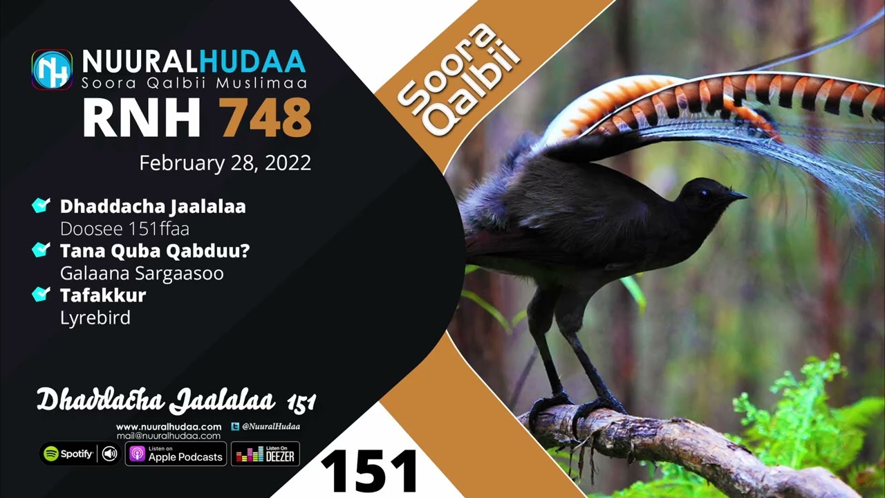 RNH 748, February 28, 2022 Soora Qalbii