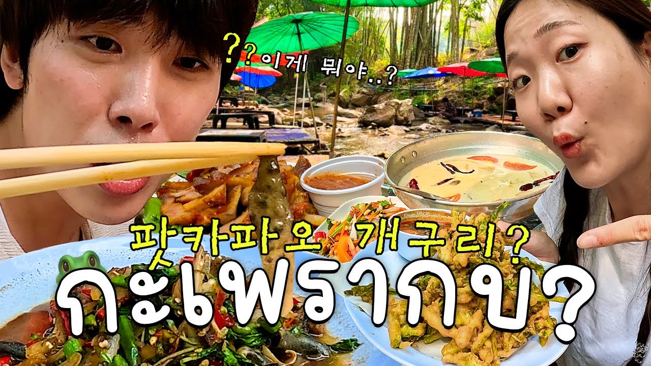 กินกบเชียงใหม่ กระโดดกลับกรุงเทพ