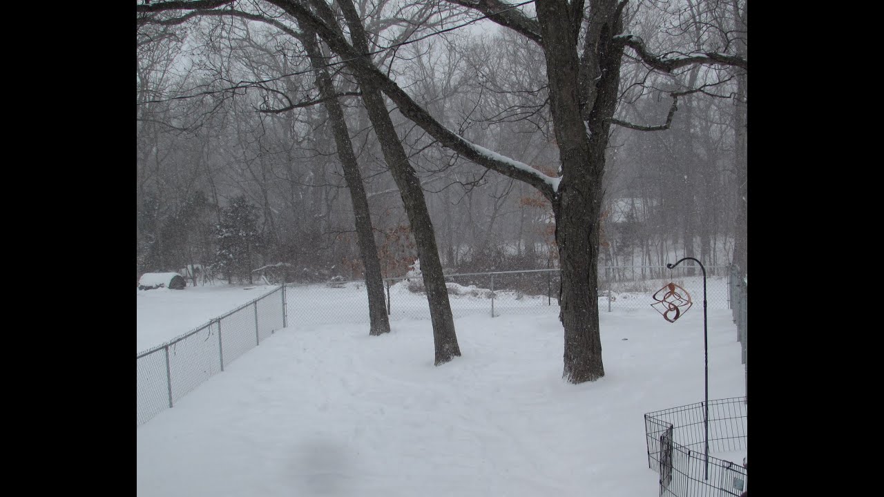 Snow On The Lens, Groundhog Day Winter Storm