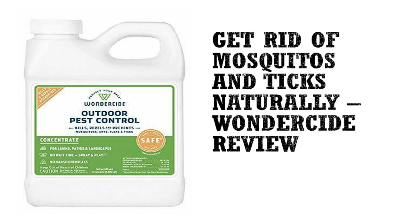 How to Naturally Get Rid of Mosquitos – Wondercide Outdoor Pest Control Review