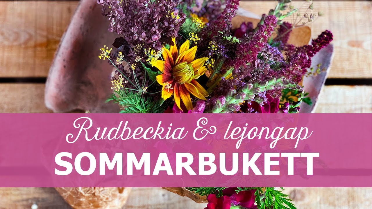 Sommarbukett med rudbeckia och lejongap från min trädgård