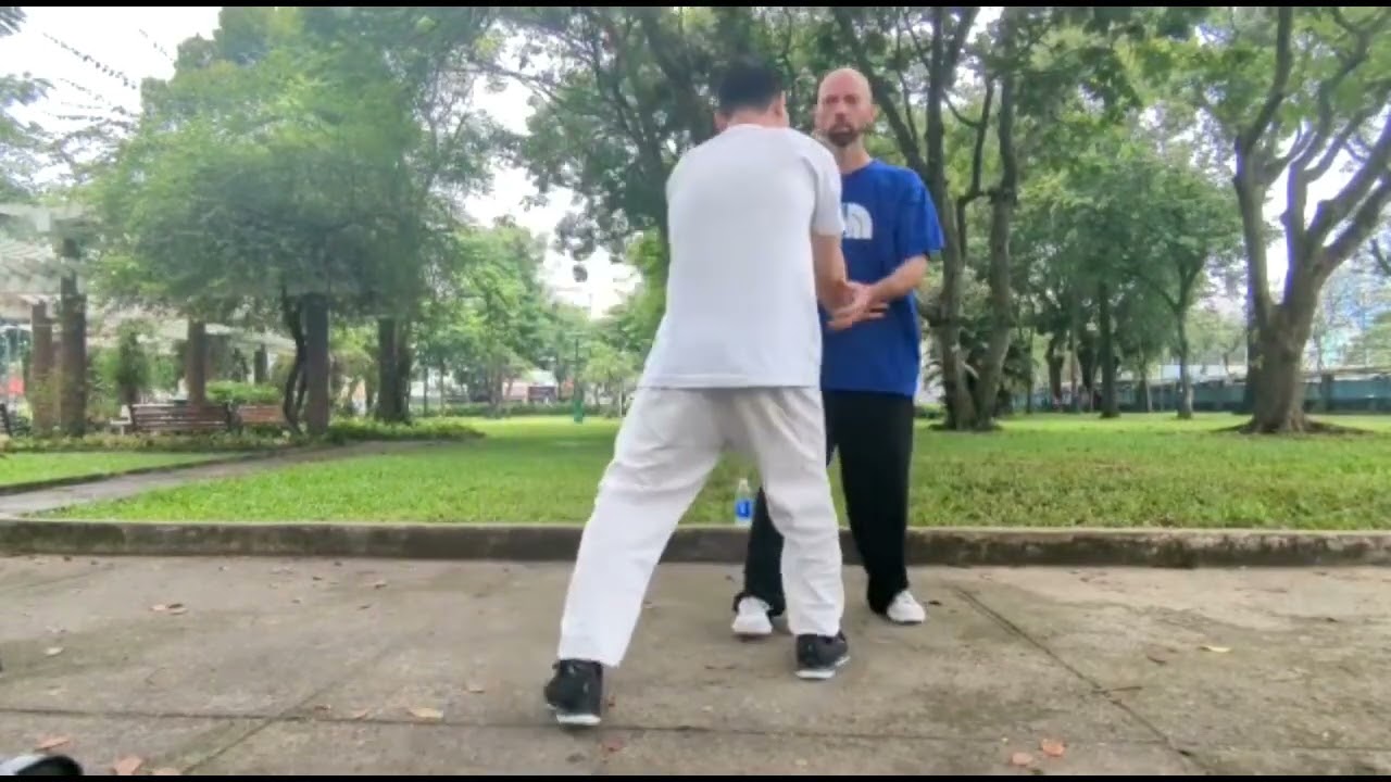 Taiji Fajin