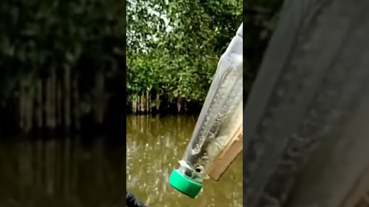 bikin kaget seruduganya gokil #shorts #mancing_ikan_belanak #pake_botol