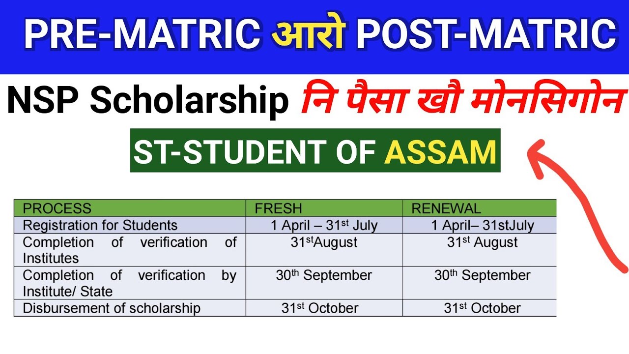 Nsp scholarship payment 2025// nsp payment file generated 