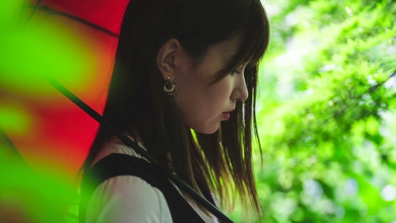 漫ろ雨の中に見た幻想
