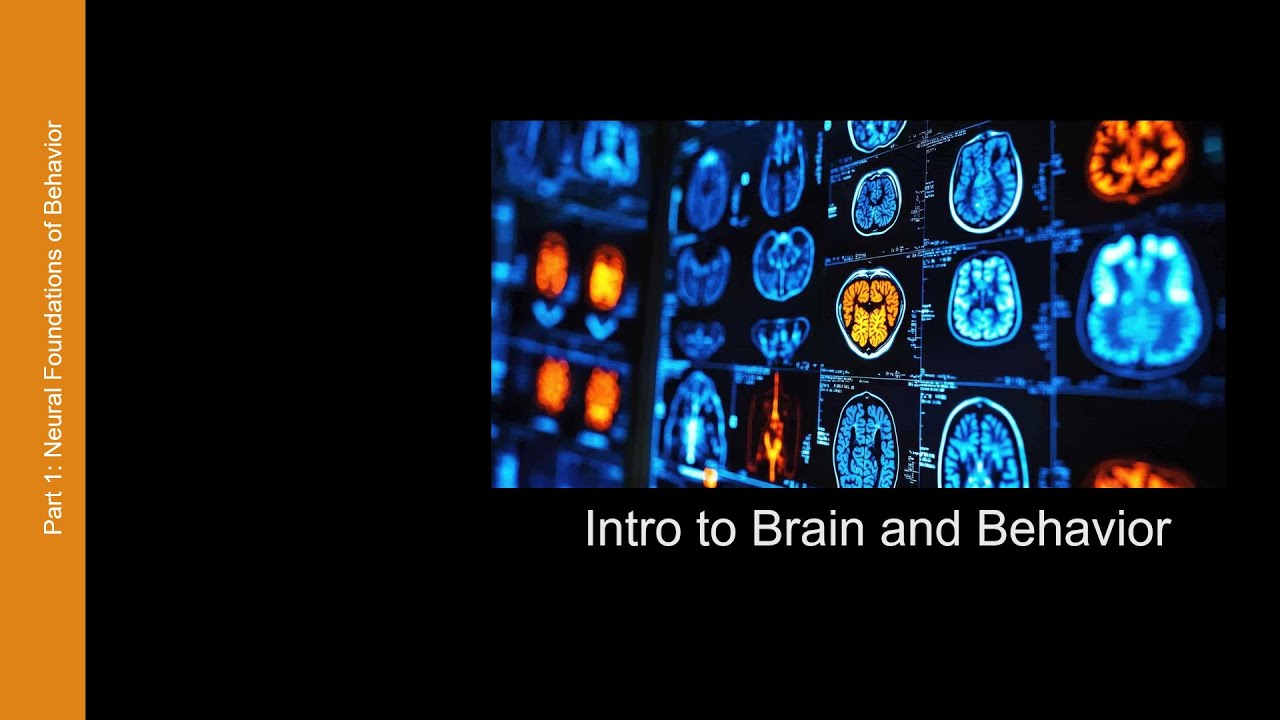 Introduction to Behavioral Neuroscience - Lecture 00 - Introduction