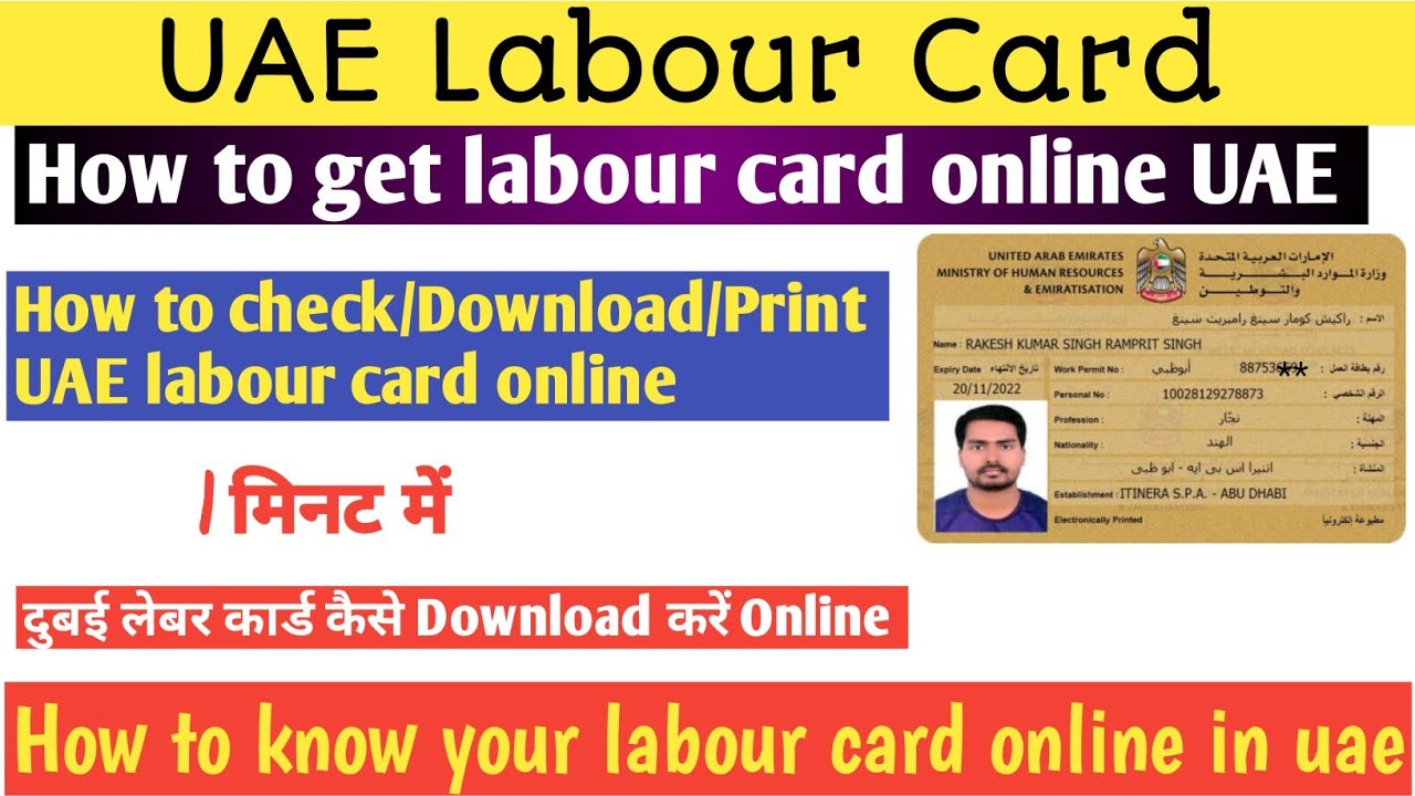 How to download UAE labour card online | How to get labour card online in uae |UAE labour card check