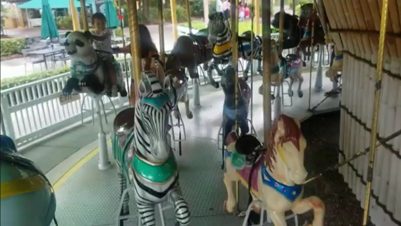 KingKeilani At ZooTampa Ride Zebra Boss On The Jungle Forest Carousel @ZooTampaatLowryPark