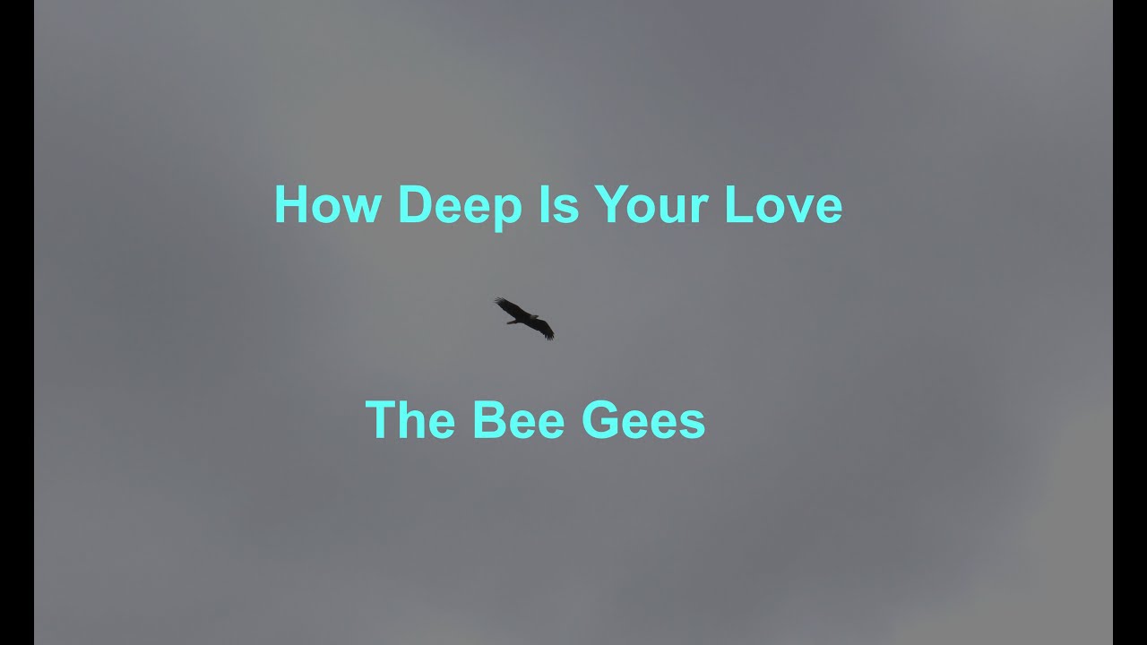 How Deep Is Your Love -  The Bee Gees - with lyrics