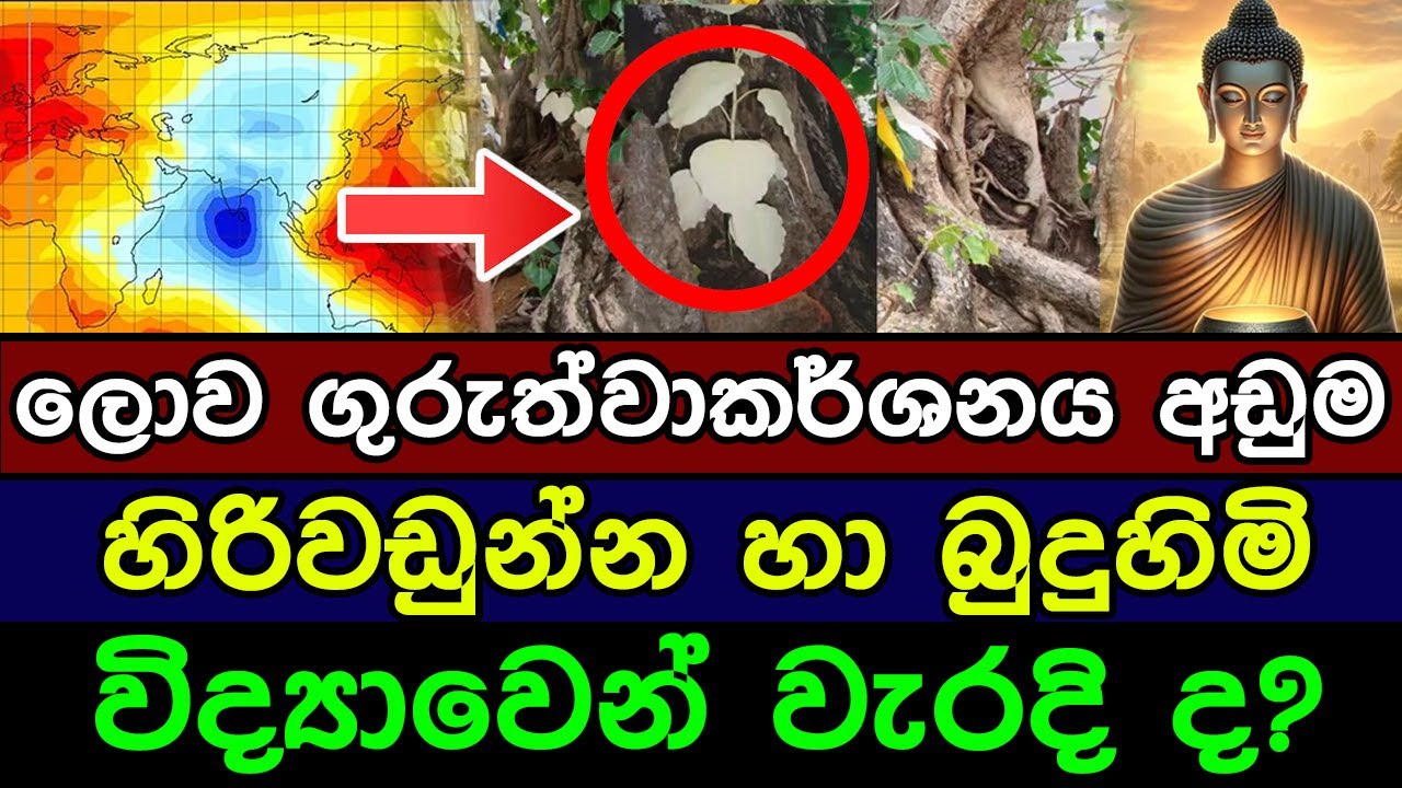 හිරිවඩුන්නේ බුදුහිමිගේ සම්බන්ධය සහ විද්‍යාවේ වැරැද්ද | Hiriwadunna and Buddhism