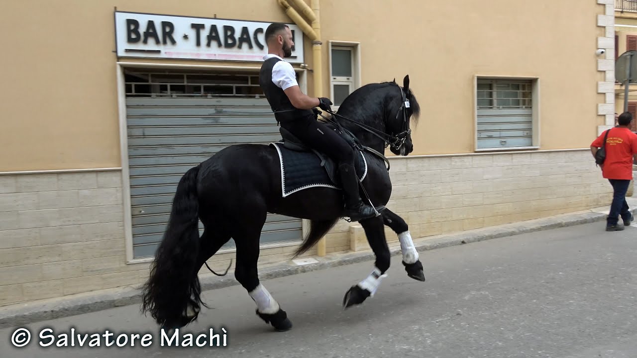 Sciara (PA) - Sfilata equestre 2024