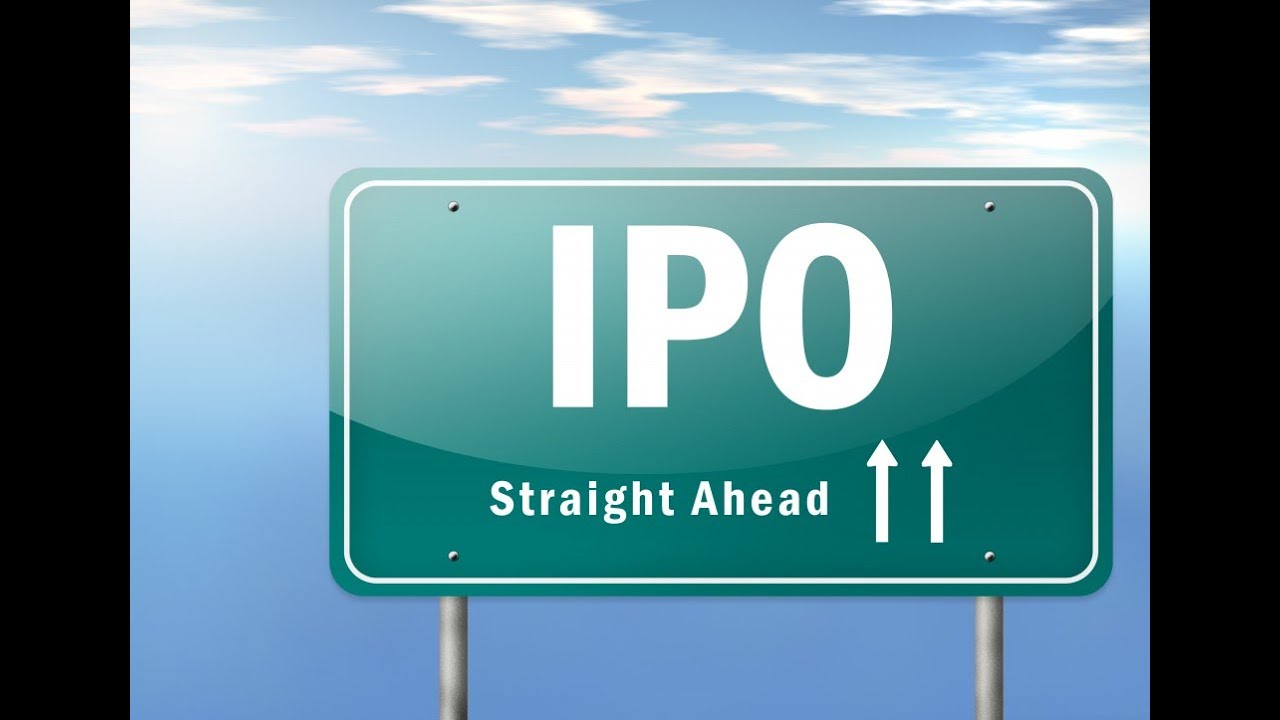What is an IPO (Initial Public Offering)?