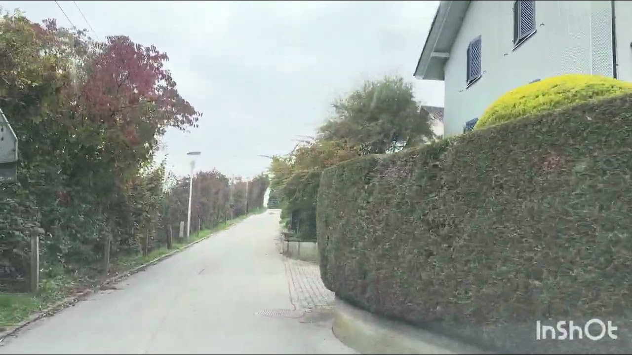 ኧረ ጥራኝ ጫካው 