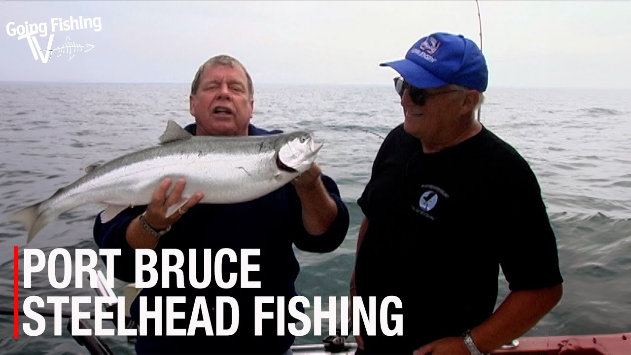 Steelhead Action in Port Bruce with Blue Goose Charters