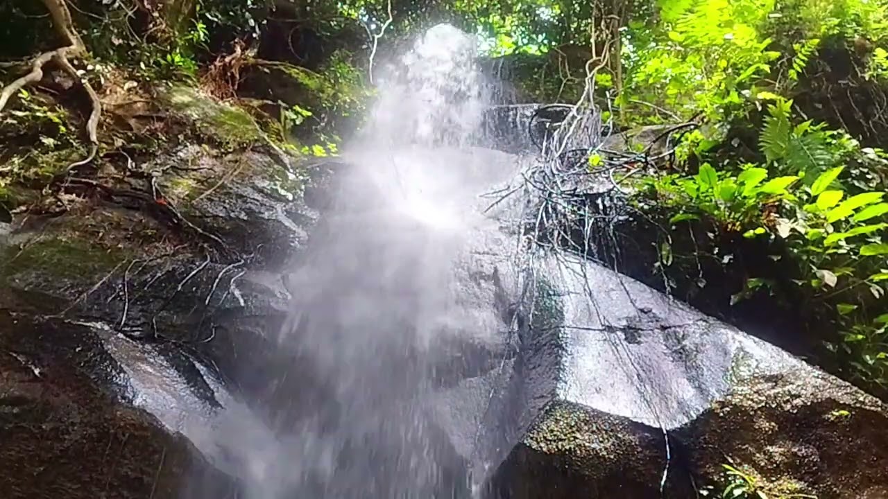 Relaxing Small Waterfall in the Forest | Real Nature Sound for Sleep & Meditation