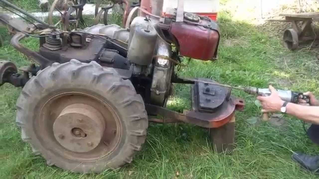 Sposób na dzika