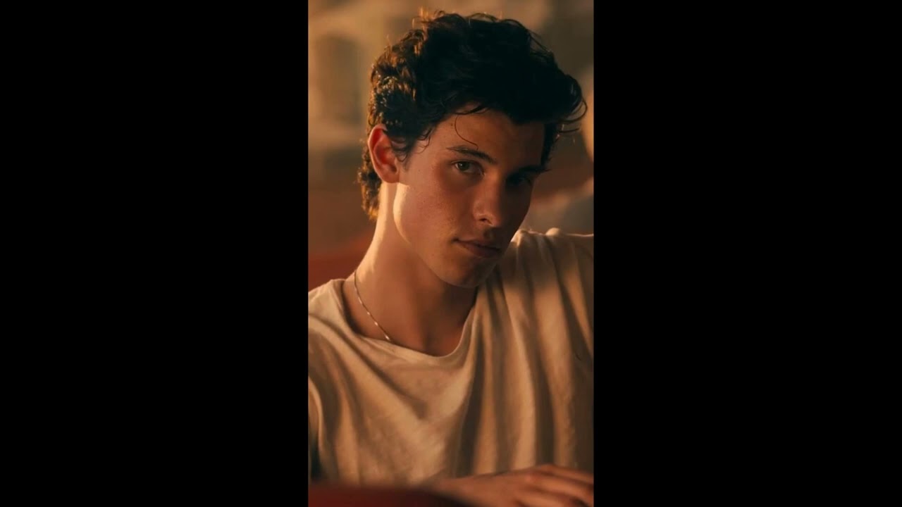 [FREE]  Shawn Mendes Type beat X Pop Guitar Type beat -