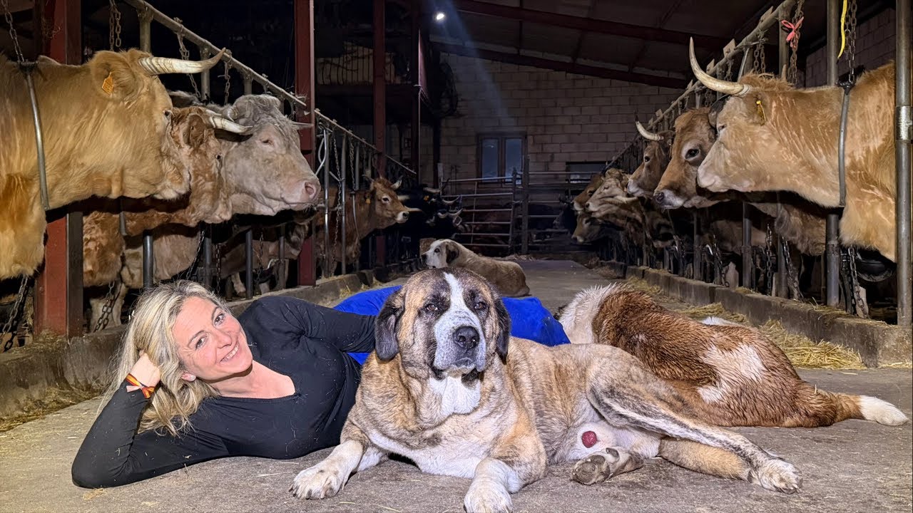 ‼La paz de mi granja y la compañía de mis animales ‼
