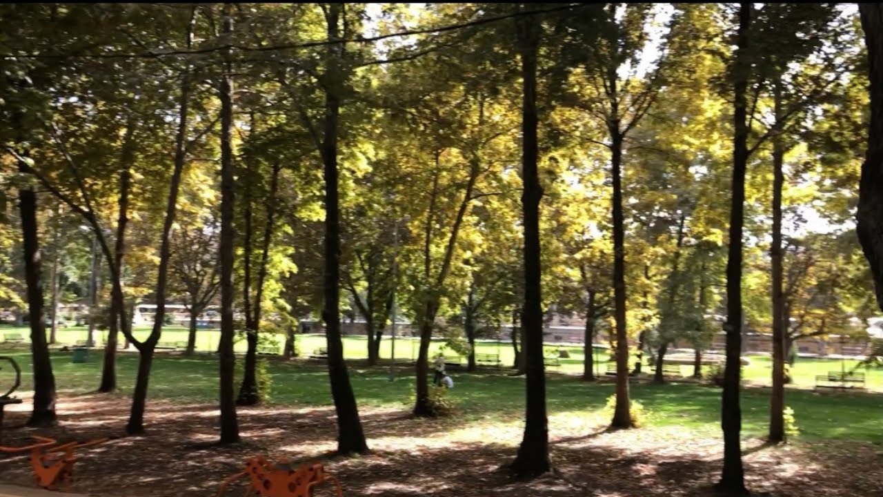 راس العين - بعلبِكْ