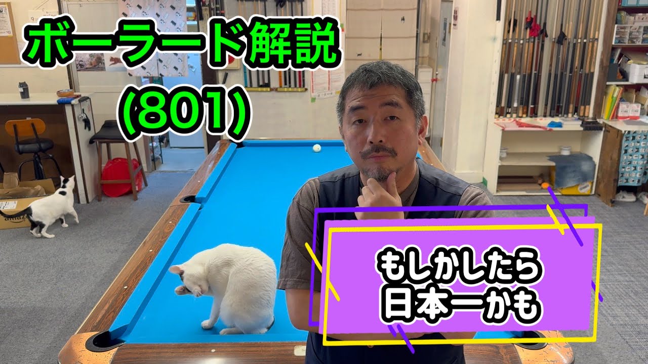 【ネコとビリヤード】カイバはボーラード解説(801)自称日本一！？