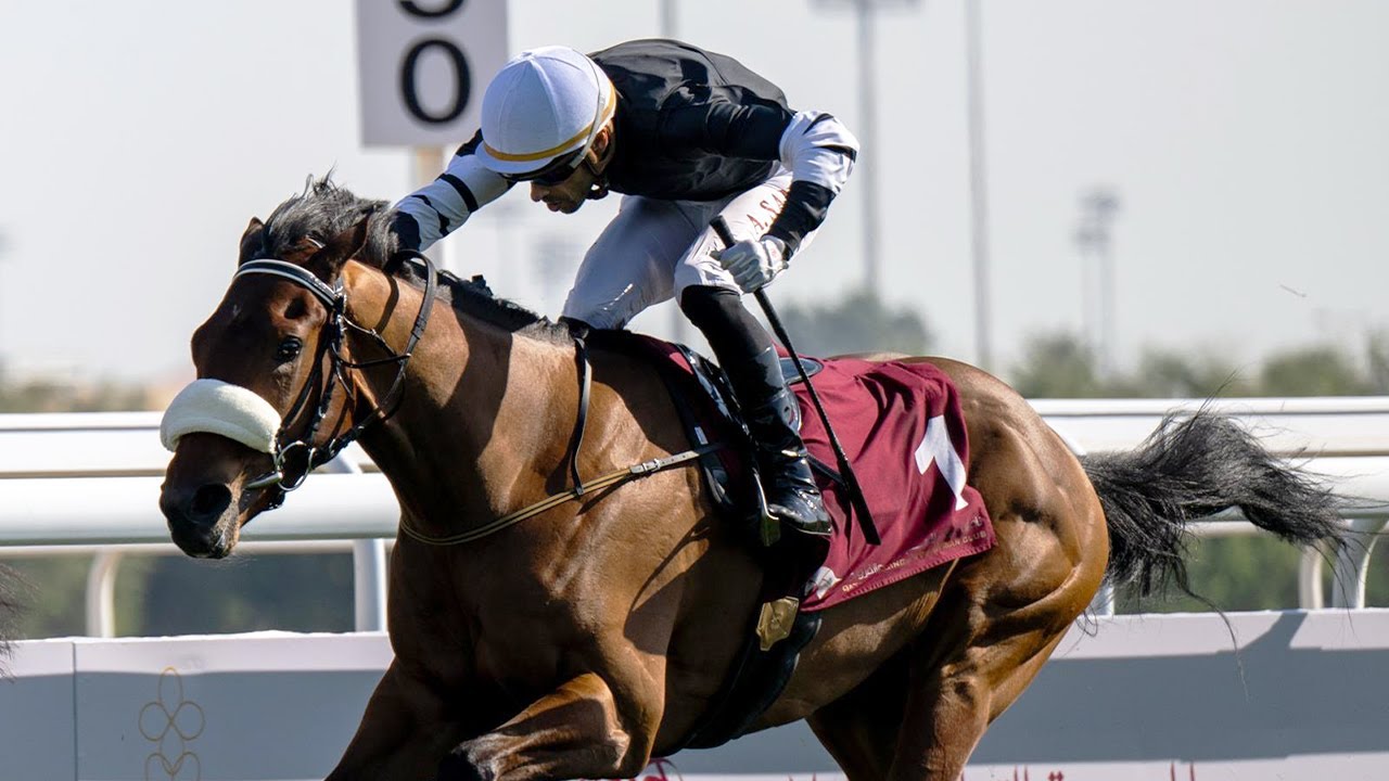 RM 38  Al Rayyan Race 4 - H.E. Sheikh Joaan Bin Hamad Al Thani Rifle