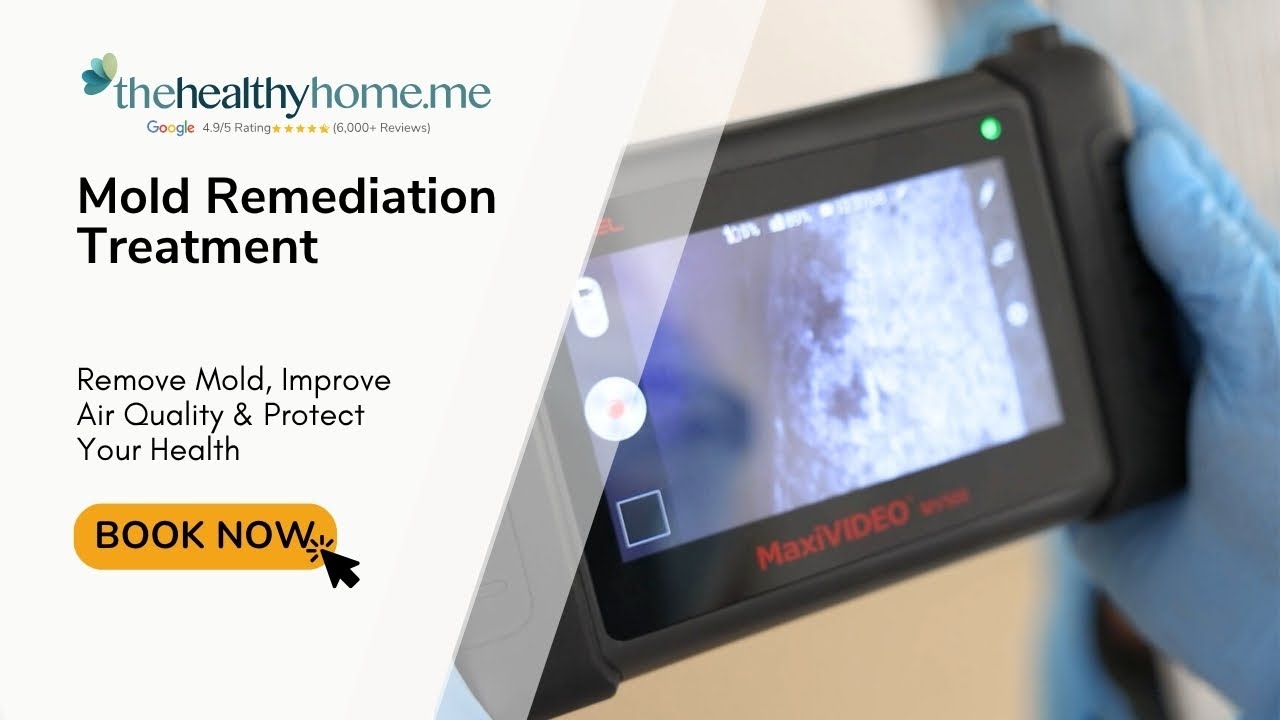 Mold Remediation Treatment : The Smart Solution for a Cleaner, Healthier Space