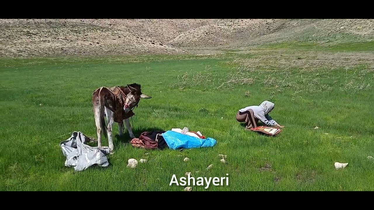 Daily nomadic life: Accompanying Marzieh in pristine and untouched nature