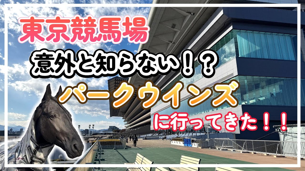 【東京競馬場】パークウインズって何？レースがない日の過ごし方を紹介！