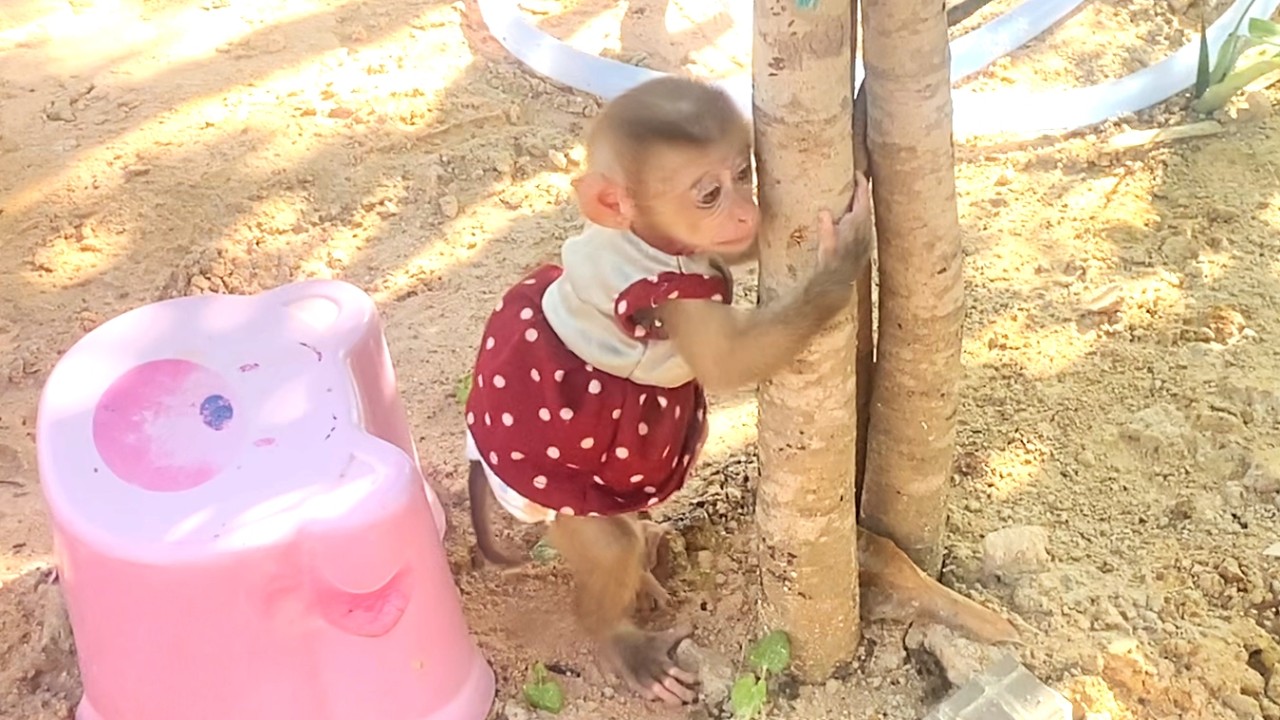 So funny!! The clever little LIORA is playing hide and seek with her mom near a tree stump