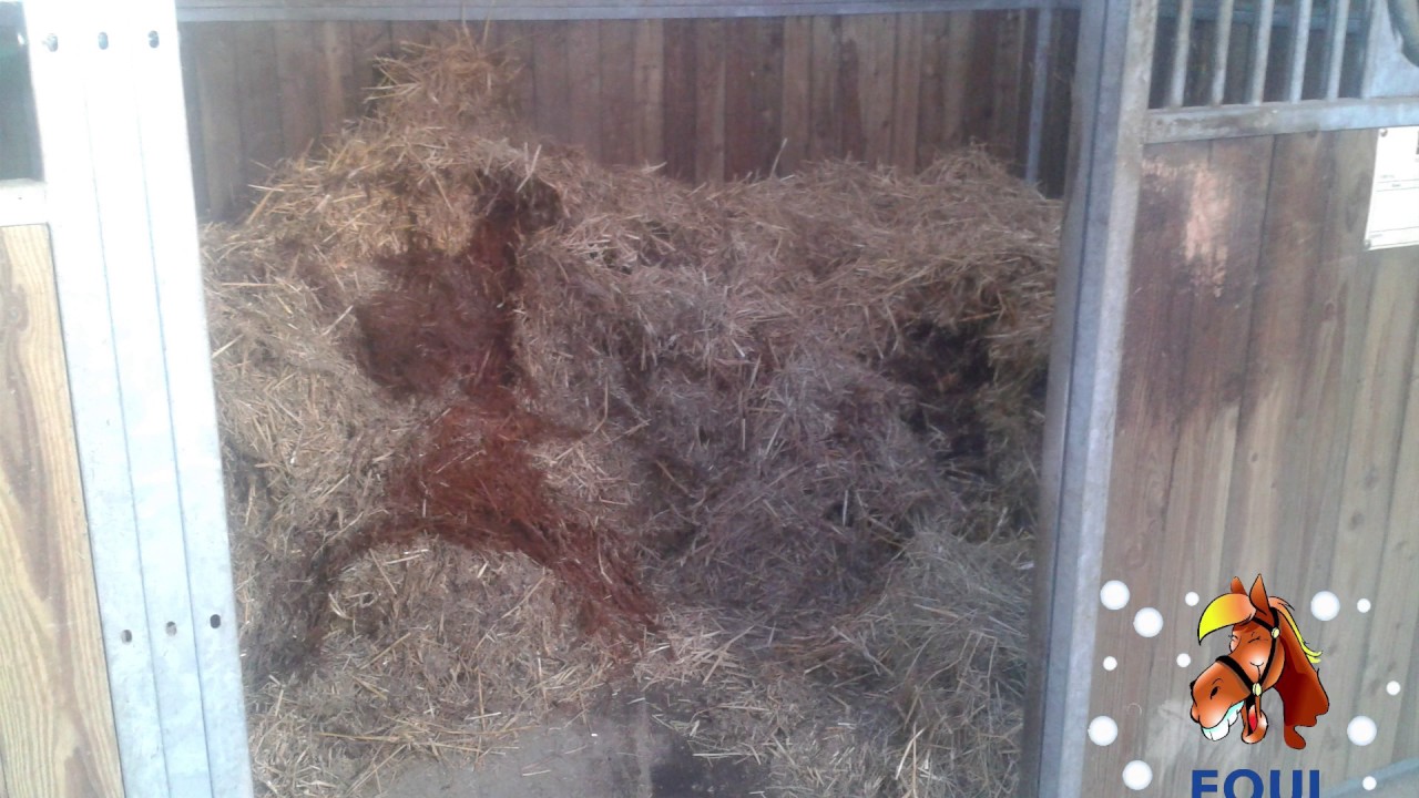Curage Box par Equi Laverie Services