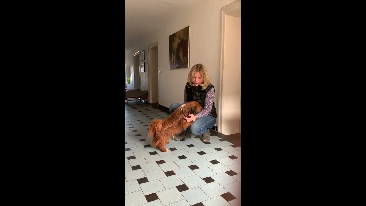 Respektvoll Hochheben üben, 2. Teil