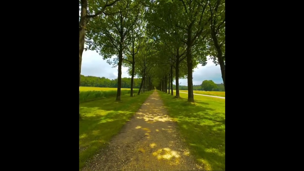 [Te conozco de antes] Mi brillo de sol☀️ El coraz&oacute;n lo siente, el alma lo grita... #oye #erest&uacute; ❤️