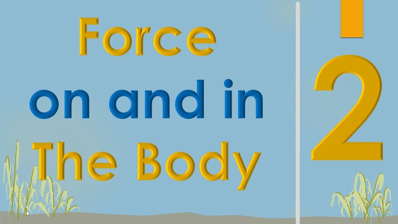 Forces affecting The Human Body (2/3) || Medical Physics || سنة أولى طب || M000 || [19/20]
