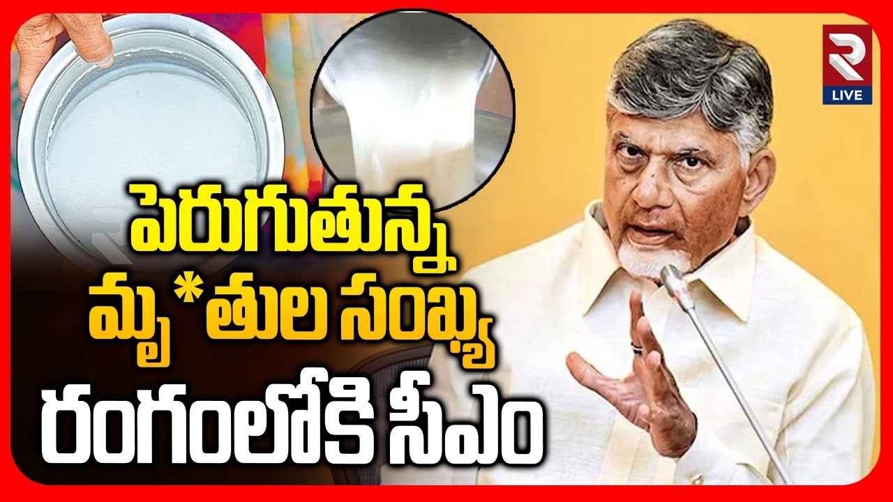 CM Chandrababu Serious On Rajahmundry Adulterated Milk Incident | RTV LIVE
