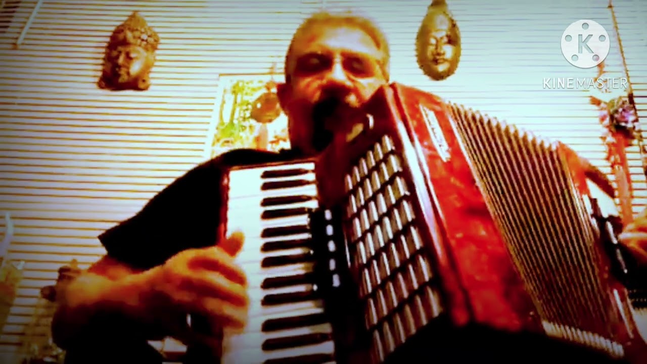 Ondas del Danubio Cover Acordion